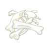Bones