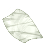 Plastic