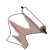 Empty Scroll