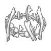 Crown of Bones (Five Enchants)