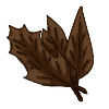 Fall Leaves