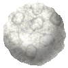 Snowball