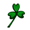 Clover