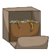 Jewelry Pack