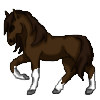 Miniature Horse​