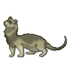 Ferret
