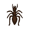 Ant