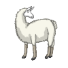 Llama