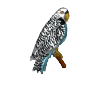 Parakeet