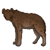 Hyena