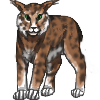 Lynx
