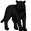 Panther