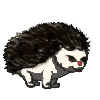 Hedgehog
