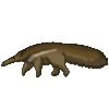 Anteater