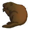 Beaver