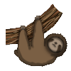 Sloth
