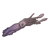 Squid