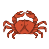 Crab