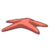 Starfish