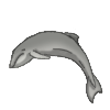 Whale