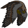Hawk