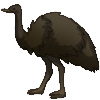 Emu