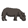 Hippo