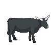 Buffalo