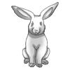 Hare