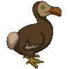 Dodo