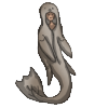 Selkie