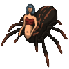 Arachne