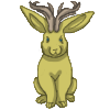 Jackalope