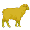 Golden Sheep