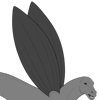 Sharp Top Wings