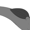 Regular Pointed Bottom Wings