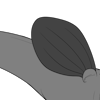 Rounded Bottom Wings