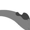 Tiny Circle Tailed Bottom Wings