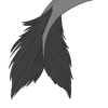 Furred Tail Fin