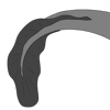 Eel Tail Fin