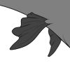 Goldfish Fins