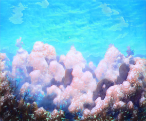 Coral Reef Background