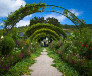 Garden Background