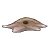 Weak Slime