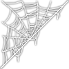 Cobwebs
