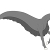 Veiled Underbelly