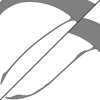 Caudal Fin