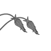 Long Furred 4-Pointed Star Ends