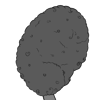 Poodle Tail Fur