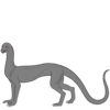 Scaled